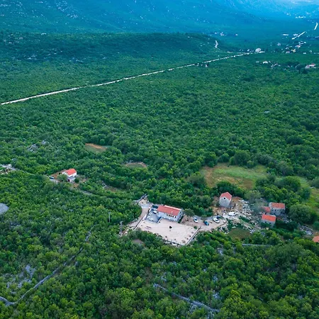 Omaha * Vekici